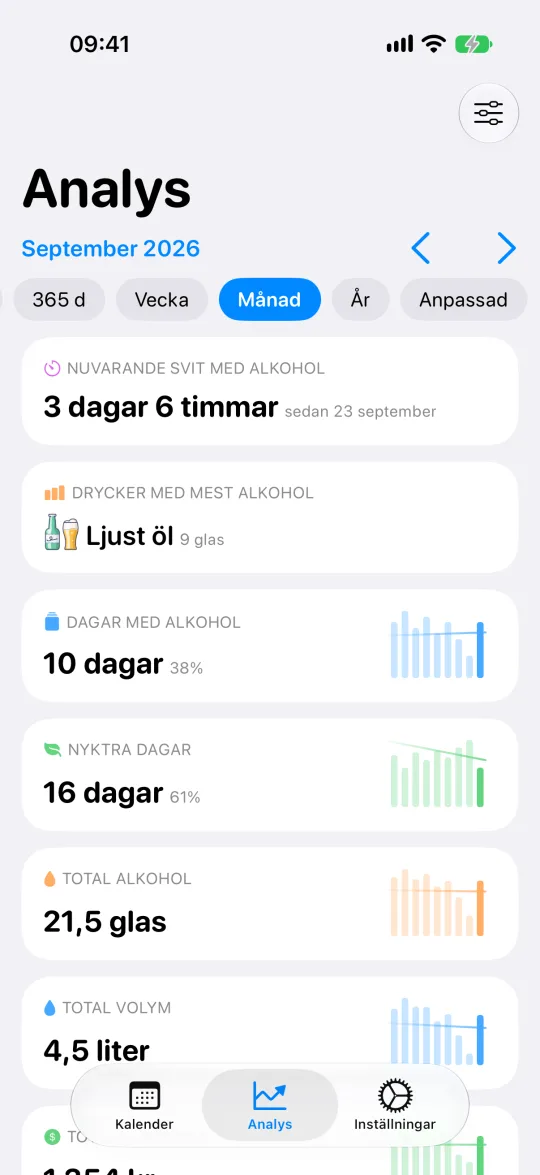 Analyskort för vald period, med summor, medelvärden och utgifter